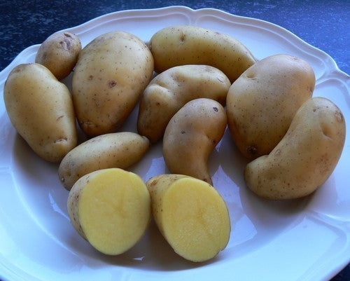 Aardappels 'Mulln'