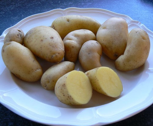 Aardappels 'Mulln'