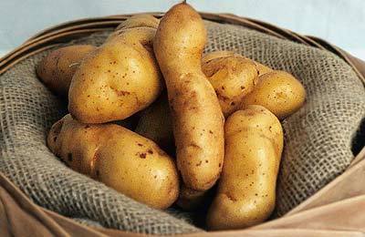 Aardappels 'la Ratte d'Ardeche' / 'Buggenummer Muuskes' / 'A