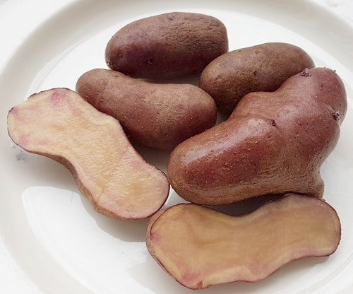 Aardappels 'Rosaroter Panther'