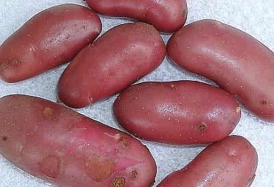 Aardappels 'Roseval'