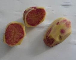 Aardappels 'Roseval'