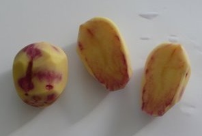 Aardappels 'Roseval'