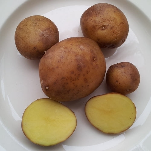 Aardappels 'Sedafin'