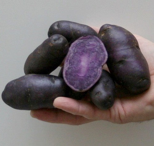 Aardappels 'Bergerac'