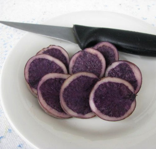 Potatoes 'Bergerac'