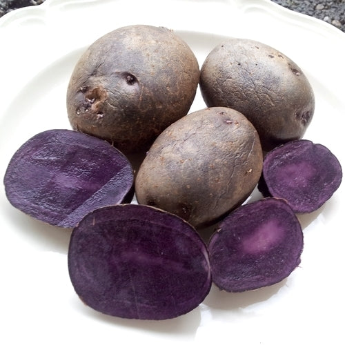 Aardappels 'Blaue Anneliese'