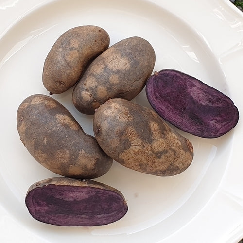 Aardappels 'Blaue Von Carola Nitsch'