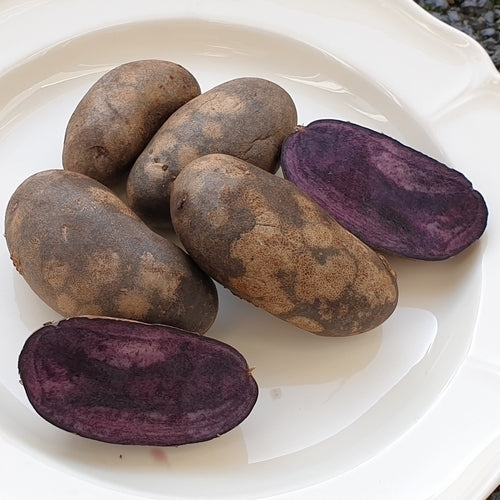 Aardappels 'Blaue Von Carola Nitsch'