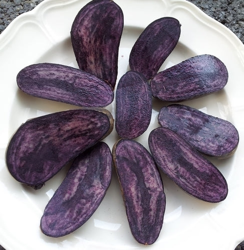 Aardappels 'Blaue Von Cordula'