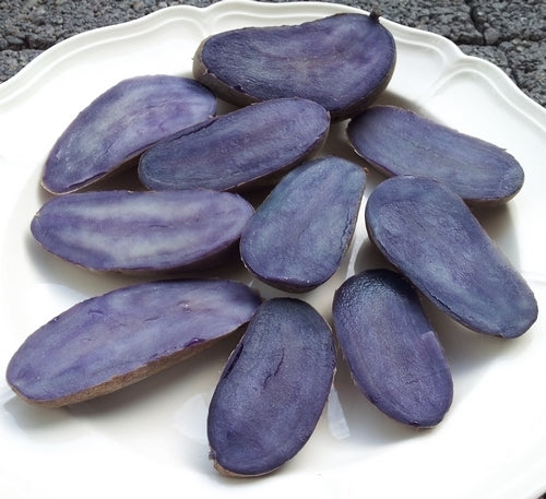 Potatoes 'Blue from Cordula'
