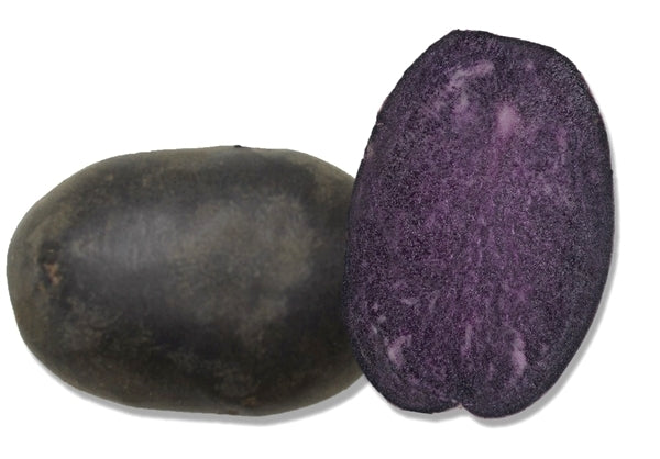 Aardappels 'Bleuet'