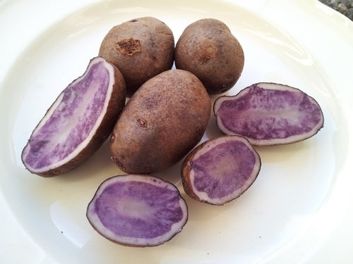 Aardappels 'Blue Gold'