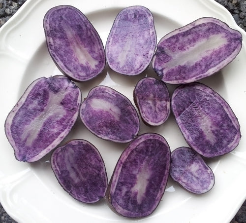 Aardappels 'Blue Star'