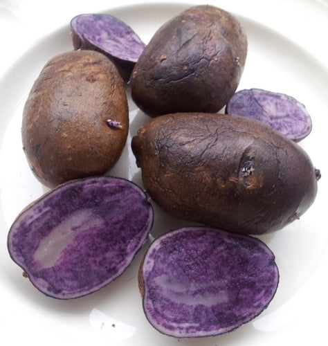 Aardappels 'Blue Star'