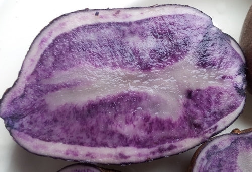 Aardappels 'Blue Star'