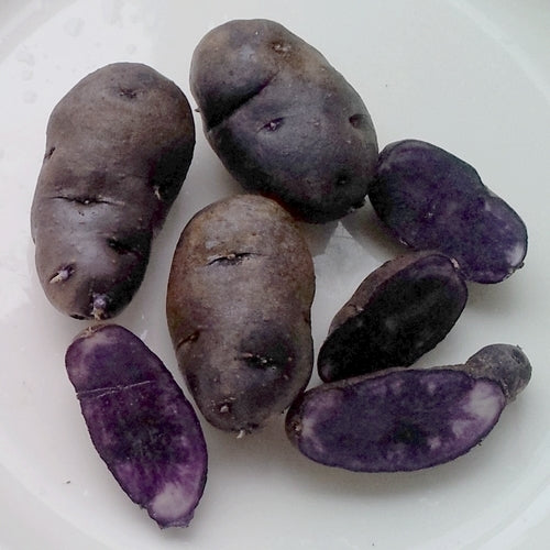 Potatoes 'Maori Blue'