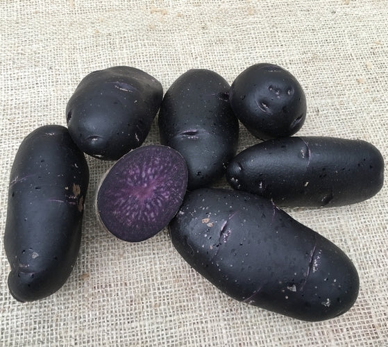 Aardappels 'Purple Rain'