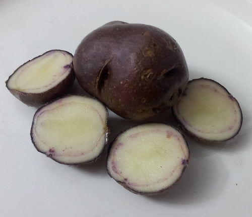 Aardappels 'Round Blue Andean'