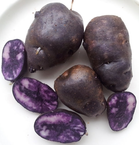 Aardappels 'Sao Vicente'