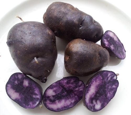 Aardappels 'Sao Vicente'