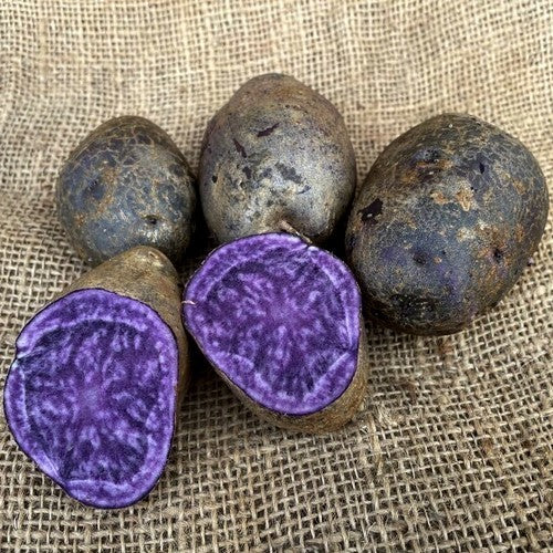 Aardappels 'Stefan'S Moon Prince' / 'Moon Prince''