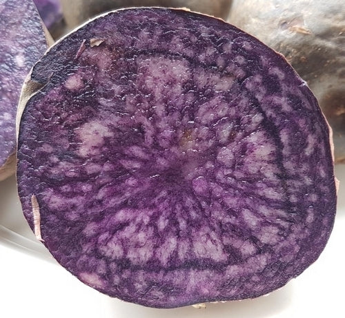 Potatoes 'Valfi' / ‘Königsblau’ / 'Schwarzer Tengel'