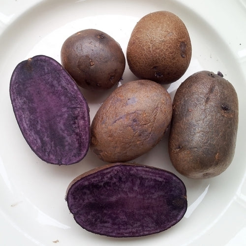 Potatoes 'Valfi' / ‘Königsblau’ / 'Schwarzer Tengel'