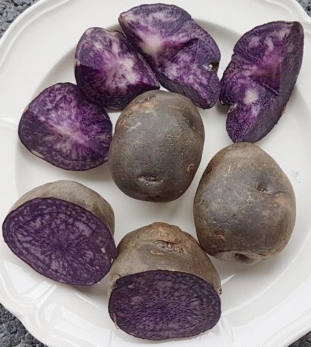 Potatoes 'Valfi' / ‘Königsblau’ / 'Schwarzer Tengel'