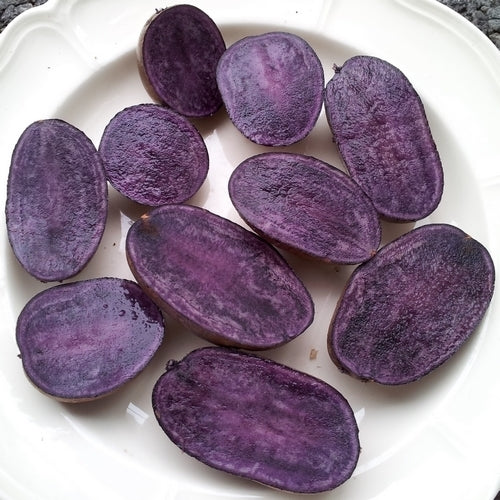 Potatoes 'Valfi' / ‘Königsblau’ / 'Schwarzer Tengel'