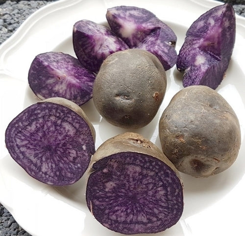 Potatoes 'Valfi' / ‘Königsblau’ / 'Schwarzer Tengel'