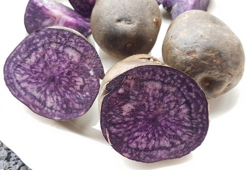Potatoes 'Valfi' / ‘Königsblau’ / 'Schwarzer Tengel'