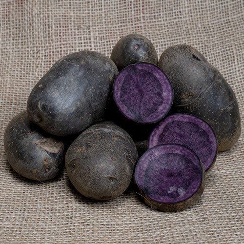 Aardappels 'Vitanoire' / 'BIM 12-499-04'