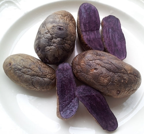 Aardappels 'Violetta' / 'Blaue Elise'