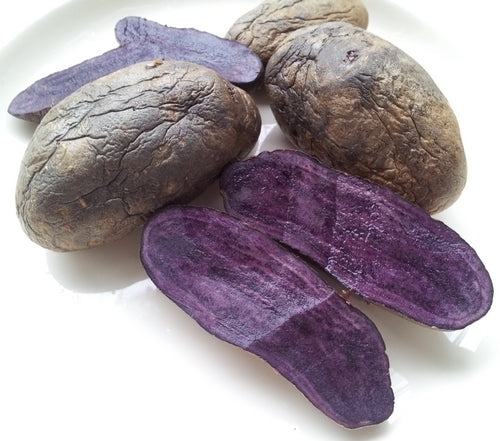 Aardappels 'Violetta' / 'Blaue Elise'