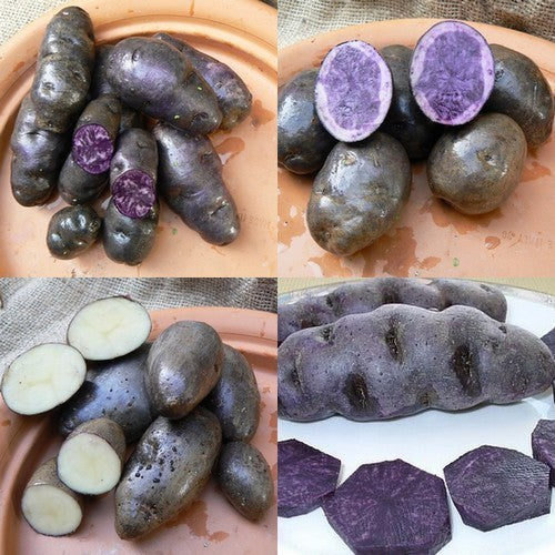 Aardappels Collectie ZwartkijKers + Extraatjes
