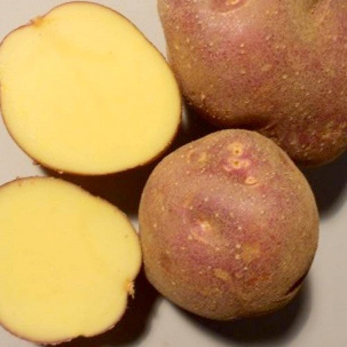 Aardappels 'Freeka'