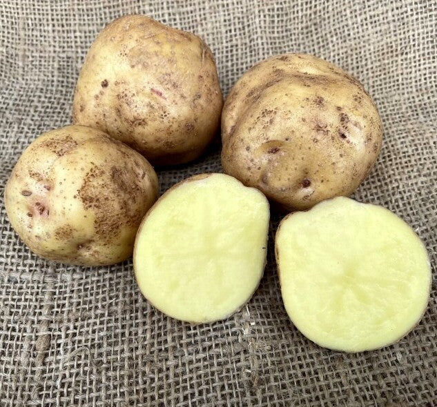 Aardappels 'Resi'