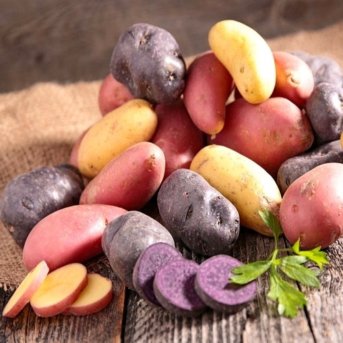 Aardappels Collectie voor OntdekKers