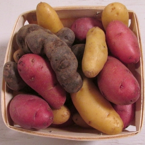 Aardappels Einde Seizoen Pakket