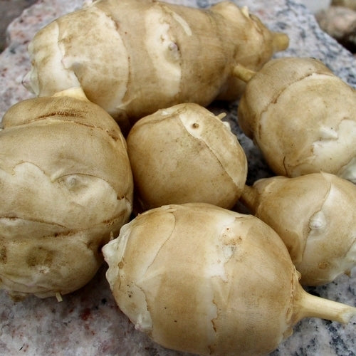 Aardperen 'Arancha'