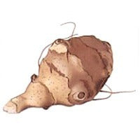 Aardperen 'Witte'