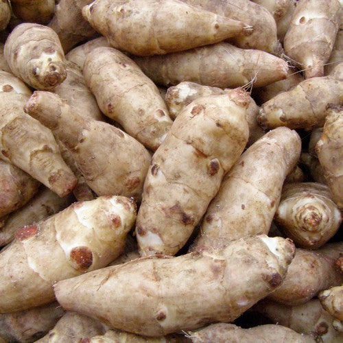 Aardperen 'Gigant'