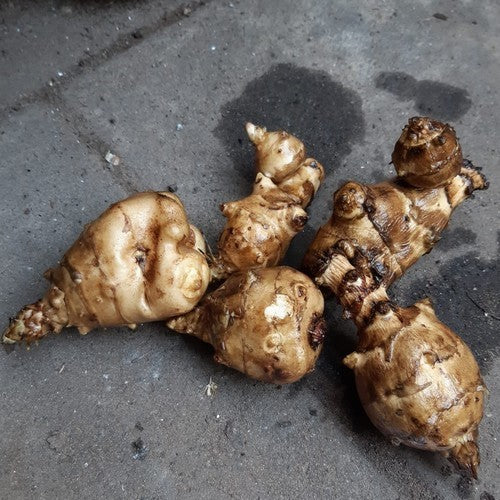 Aardperen 'Chipolata'