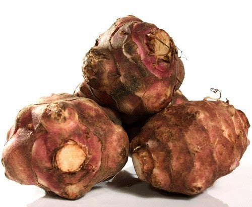 Aardperen 'Götlansk Lilafleckig'