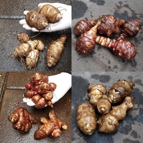 Aardperen Collectie Toppers
