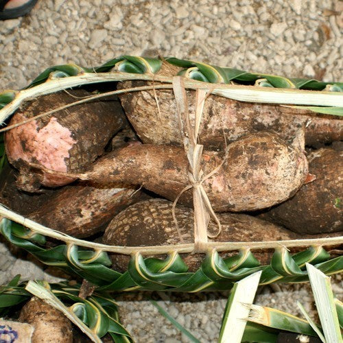 Cassava