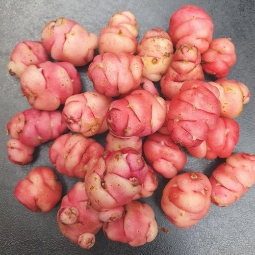 Oca 'Zoetewei Pink'