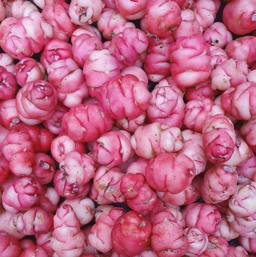 Oca 'Zoetewei Pink'