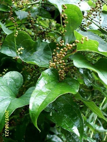Yam, Chinese